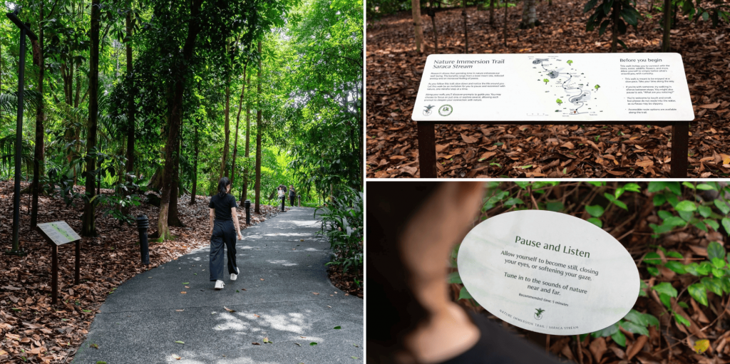 immersion trail botanic gardens