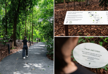 immersion trail botanic gardens
