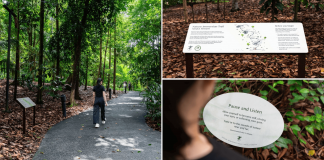 immersion trail botanic gardens