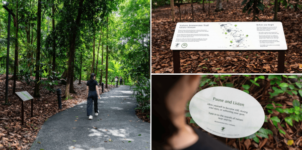 immersion trail botanic gardens