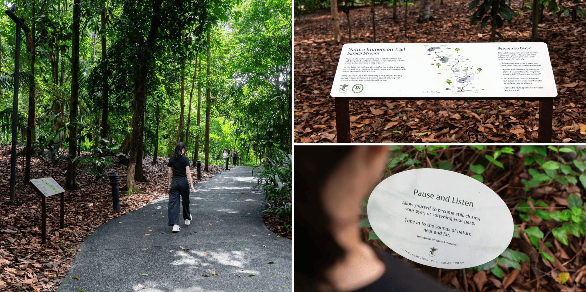 immersion trail botanic gardens
