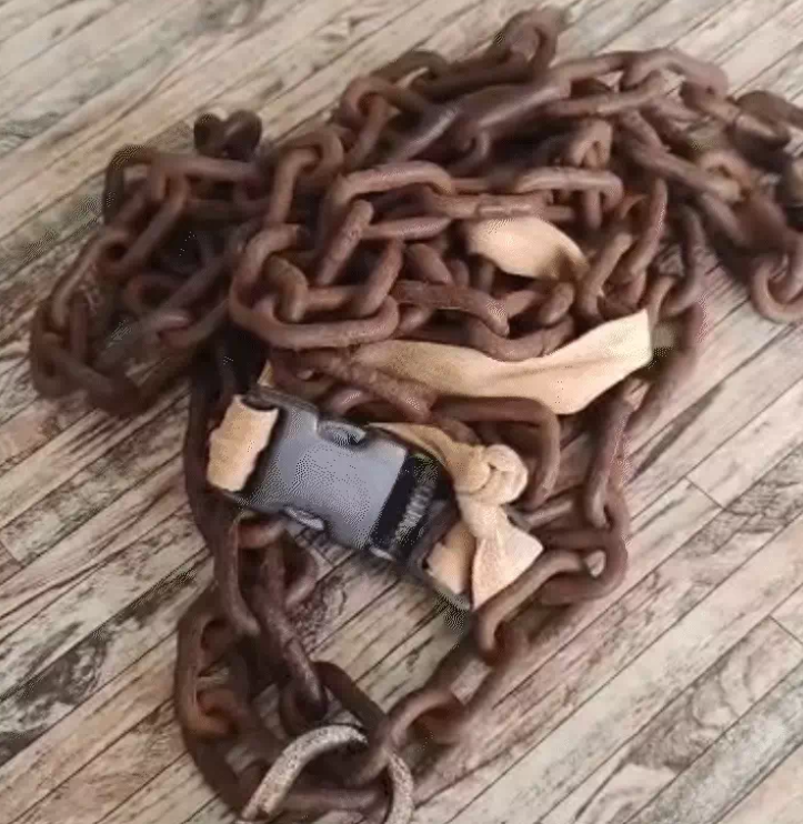 woman escapes captivity