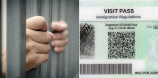 harbouring immigration offenders