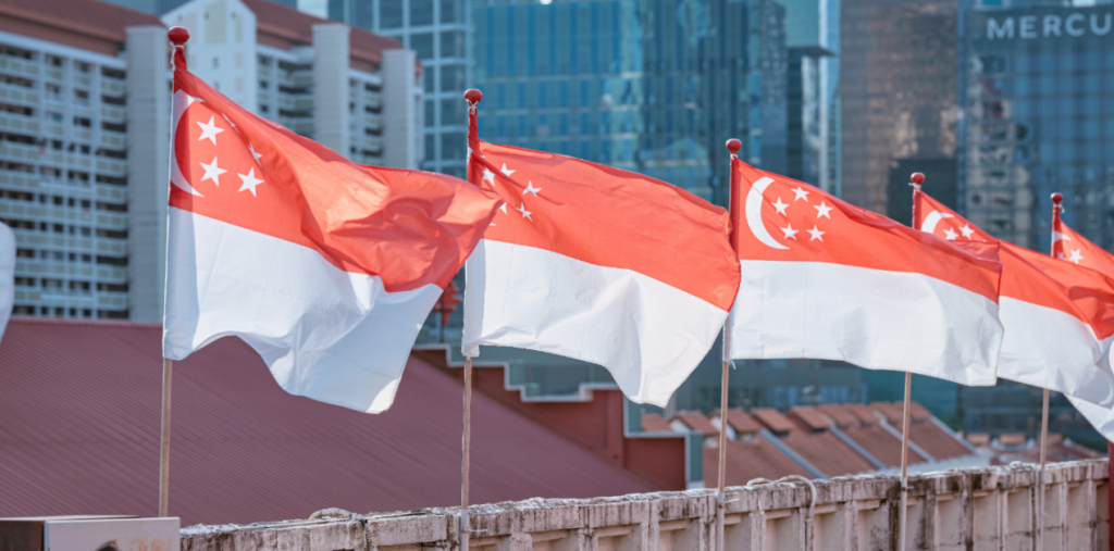 national day flag