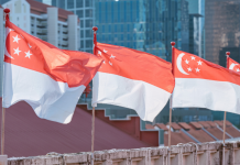 national day flag