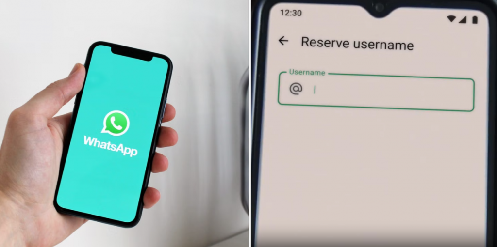 whatsapp username