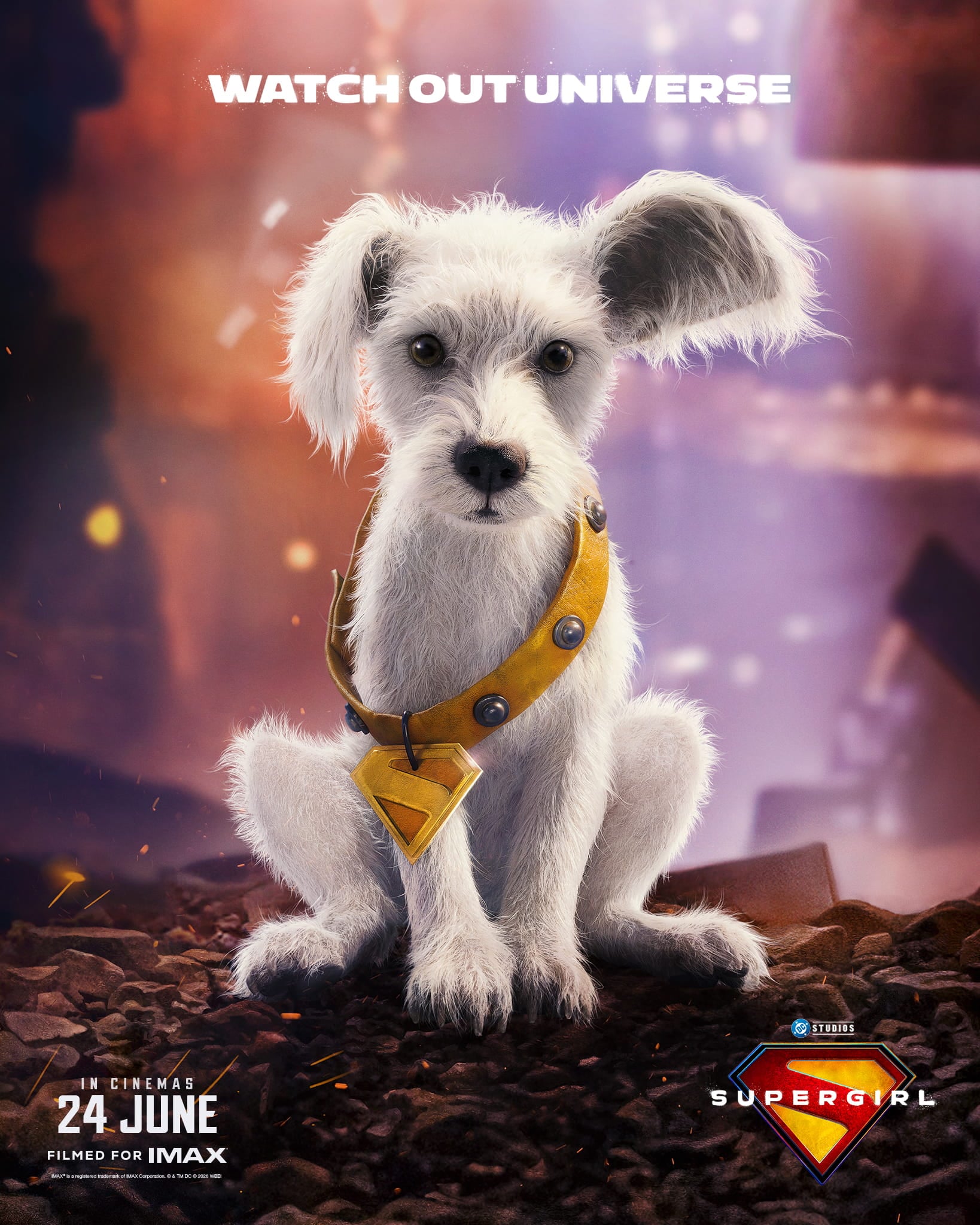 Supergirl-themed dog adoption drive (3) (1)