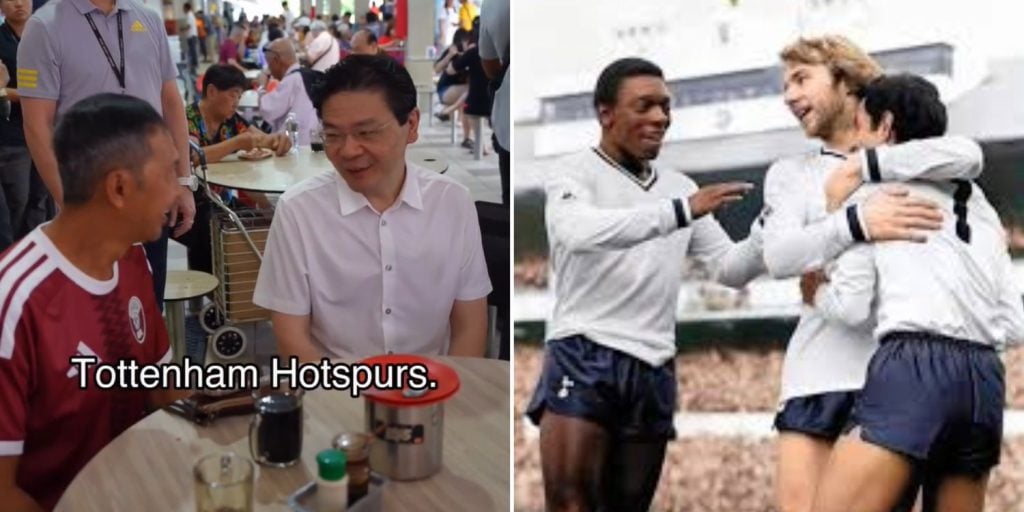 Tottenham Hotspur fan