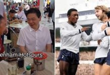 Tottenham Hotspur fan