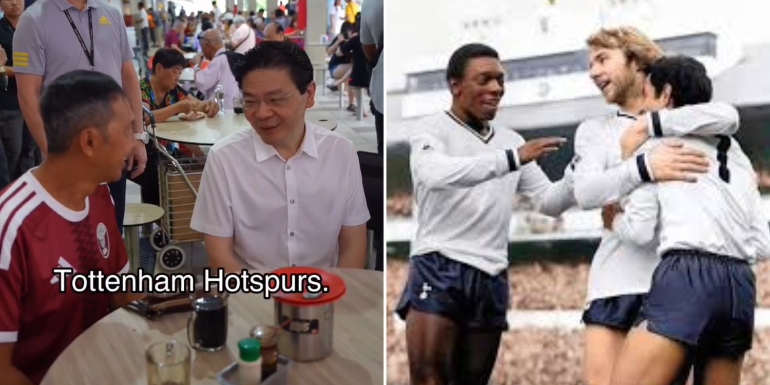 Tottenham Hotspur fan