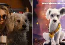 Supergirl-themed dog adoption drive