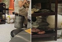 dog meat restaurant