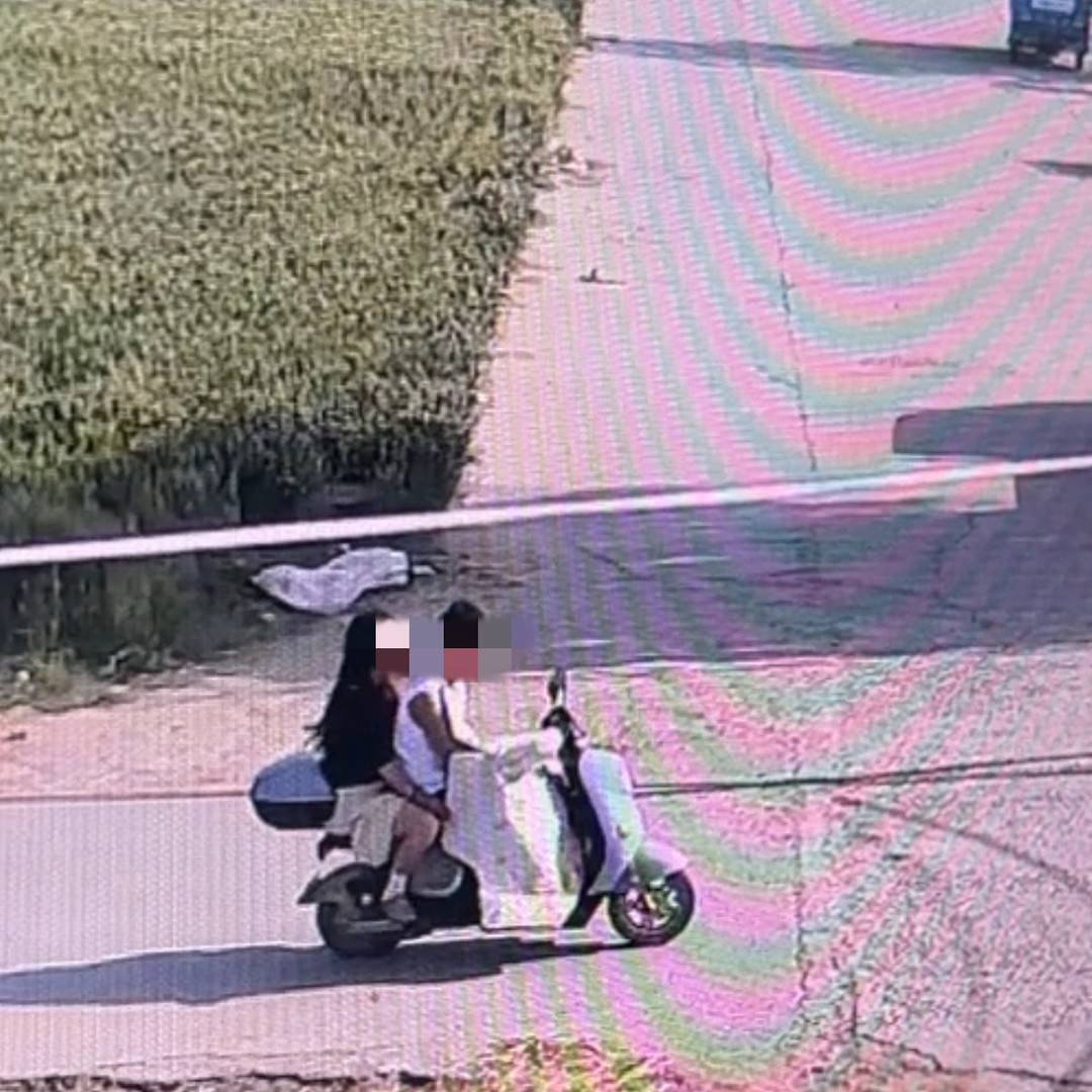 dog stolen eaten china (1)