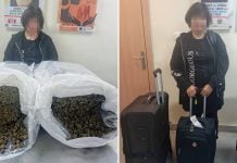 elderly malaysian cannabis nigeria