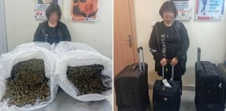 elderly malaysian cannabis nigeria