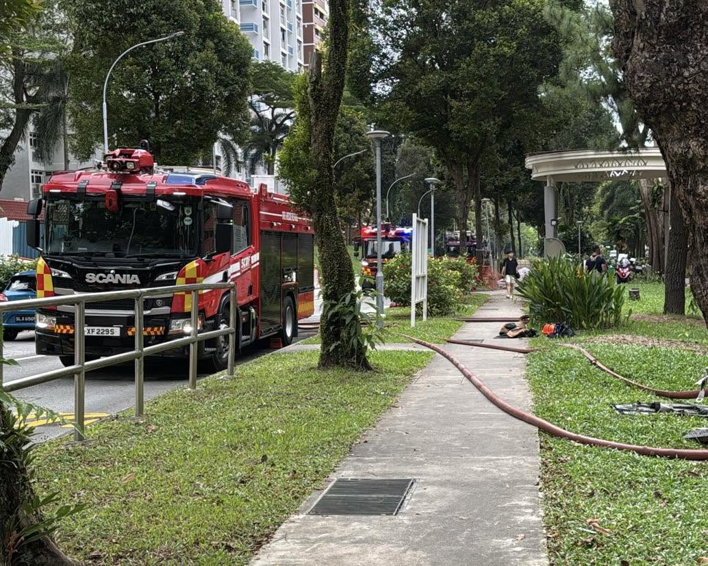 fire holland hdb