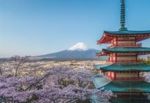 japan visa fee