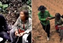 missing woman forest