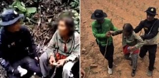missing woman forest