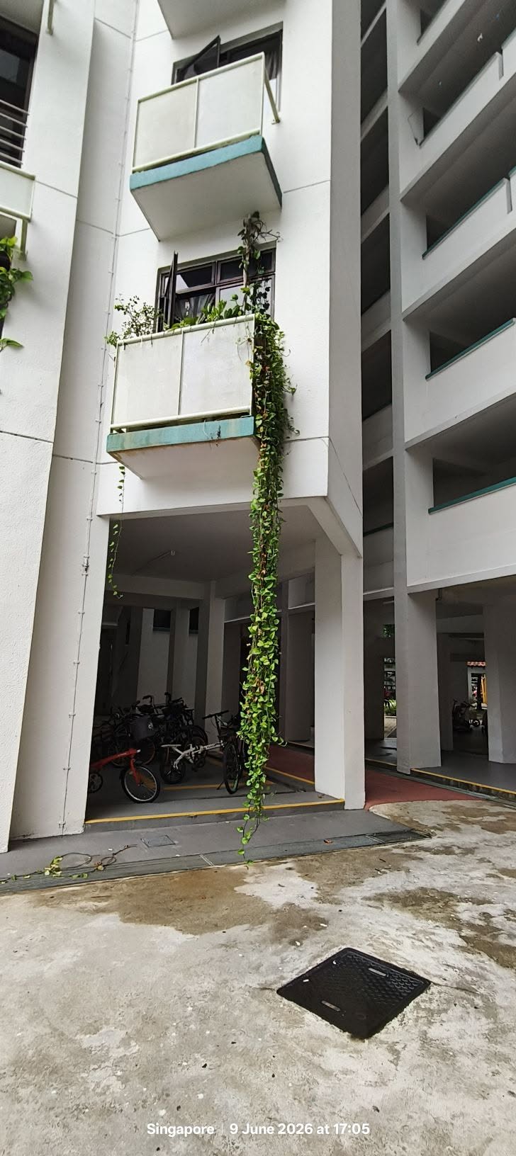 overgrown plant hdb (2)