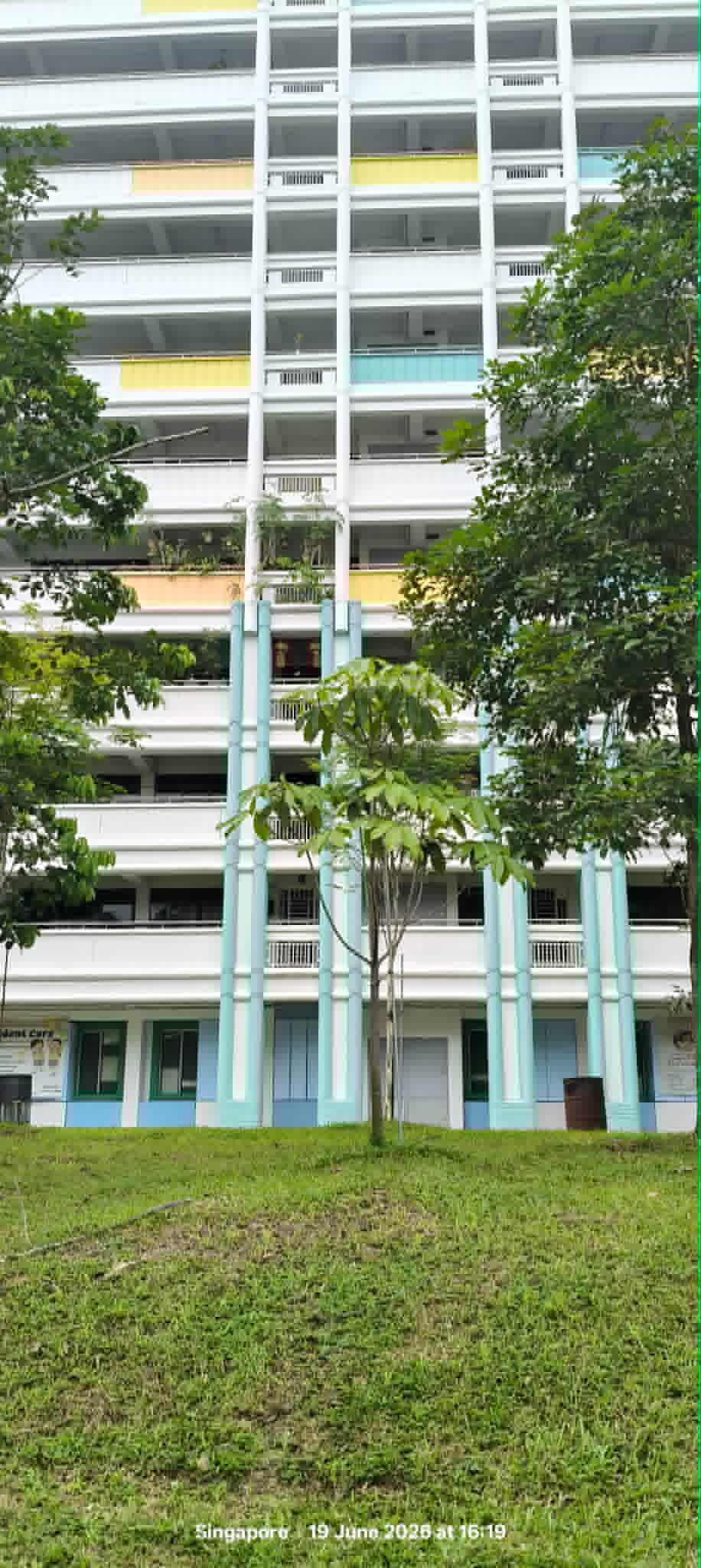plants ledge woodlands hdb