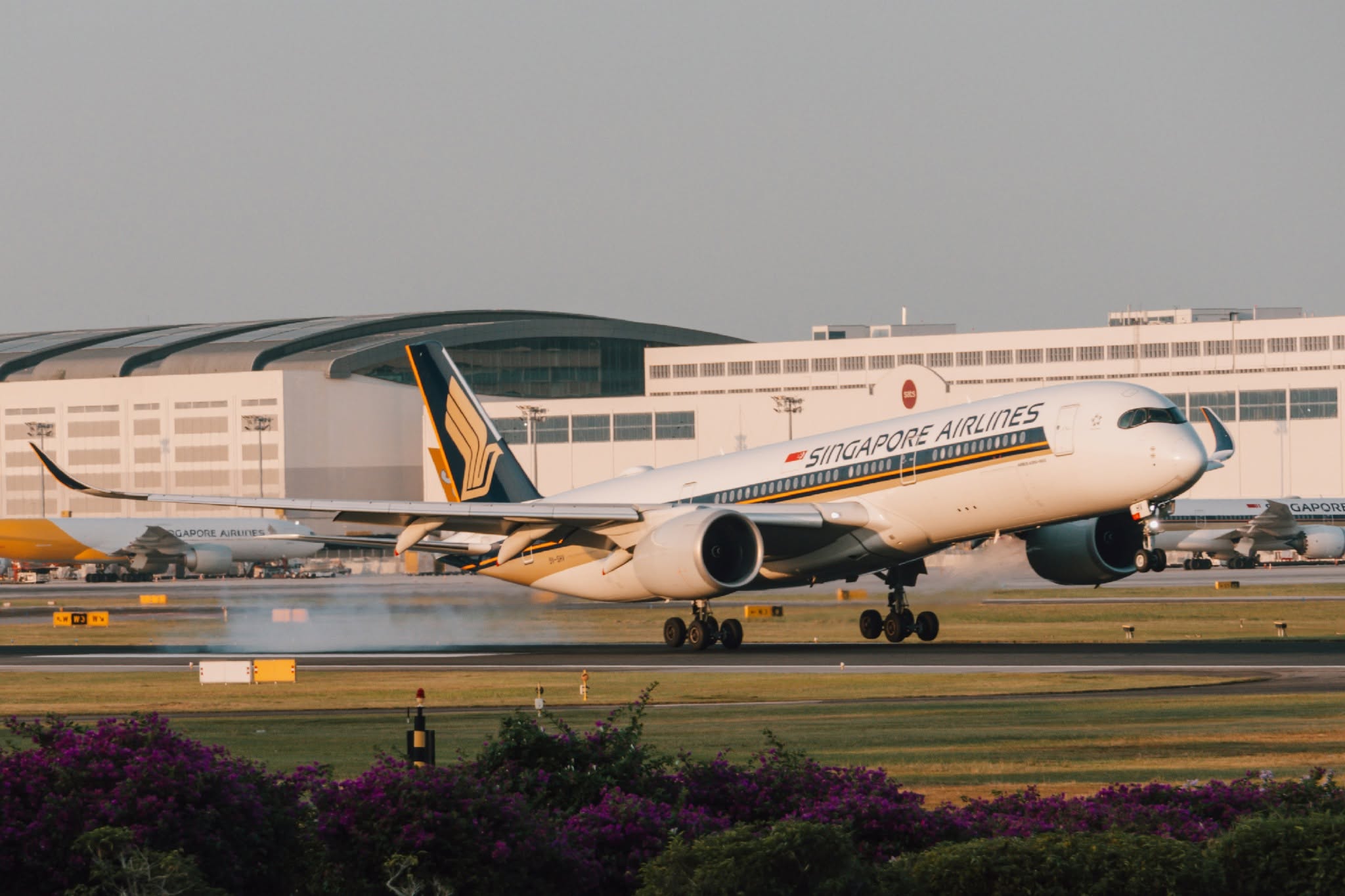 molests SIA air stewardess