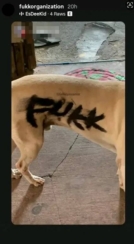 spray-painted dog (2)