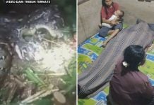 woman swallowed python indonesia
