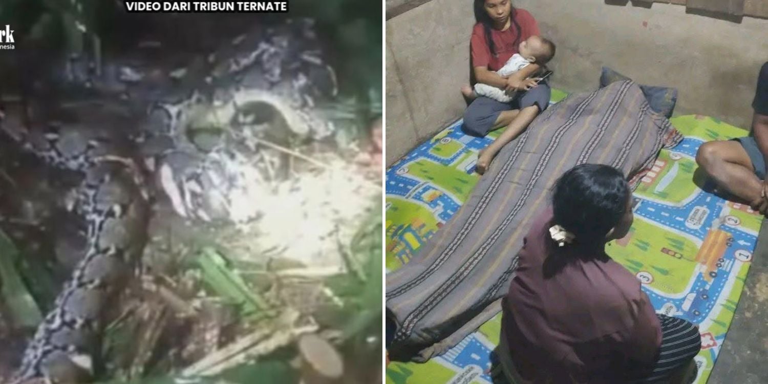 woman swallowed python indonesia