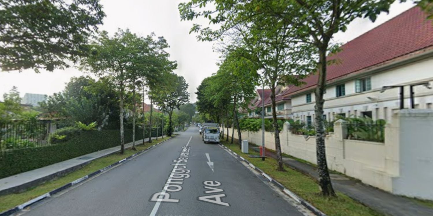 youths theft vehicles