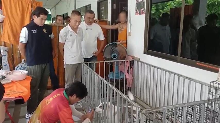 monk striking puppy
