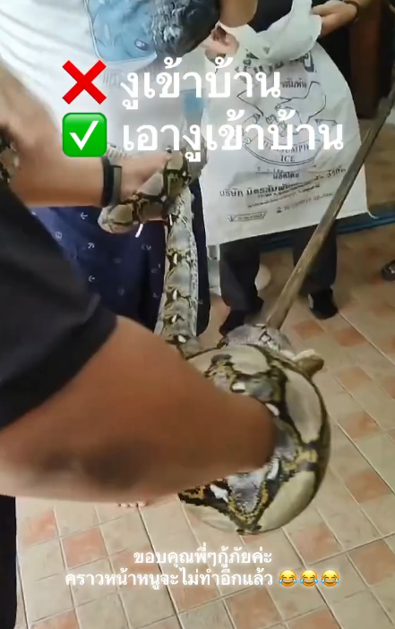 drunk man python