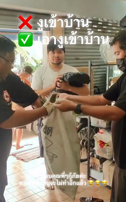 drunk man python