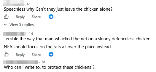 men chicken yishun