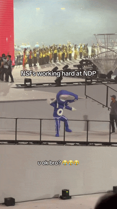 NDP mascots singapore