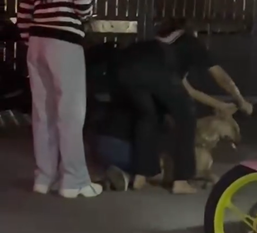 dog killed by group (1)