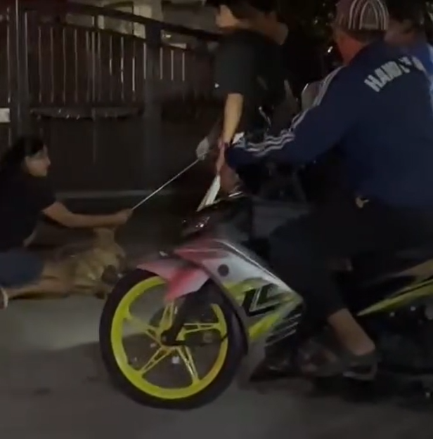 dog killed by group (3)