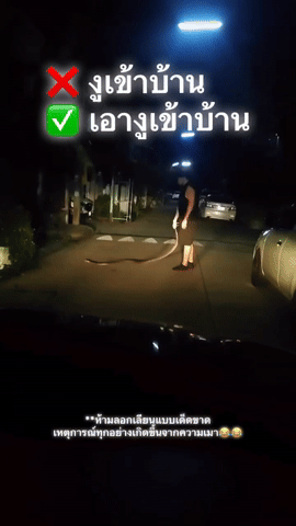 drunk man python