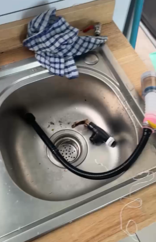 homestay faucet
