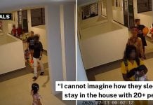 homestay guests