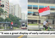 national flag 
