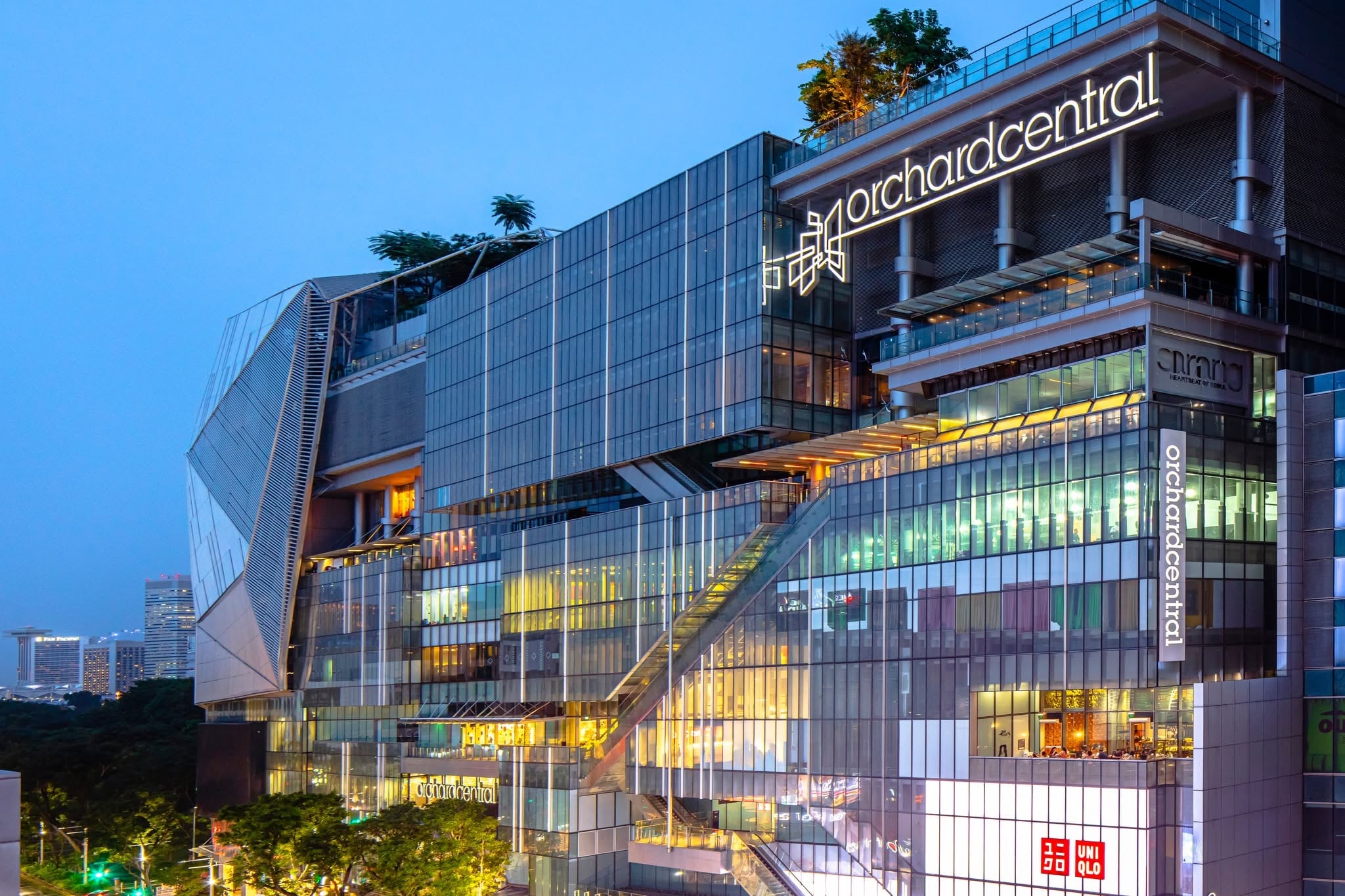 sandara park orchard central