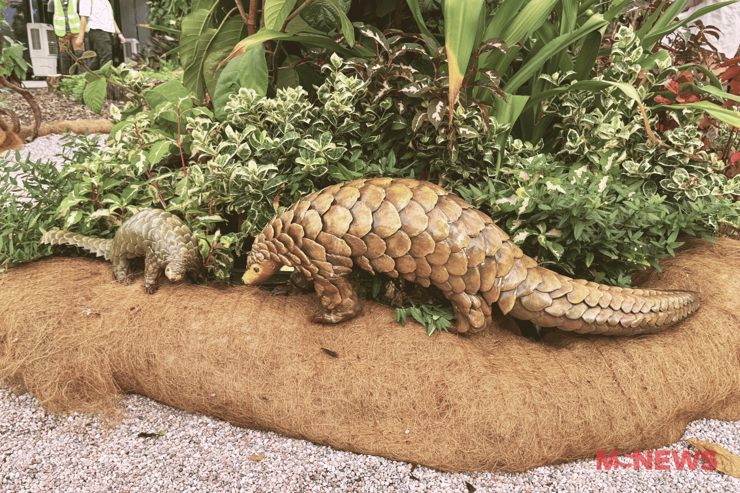 singapore garden festival