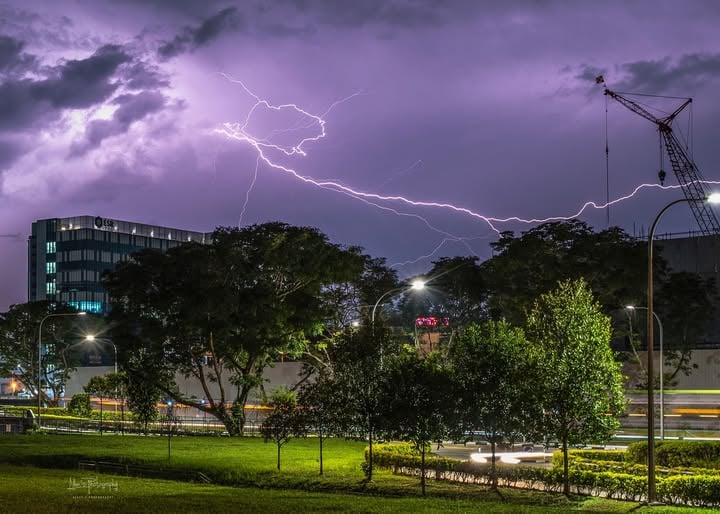 singapore lightning (2)