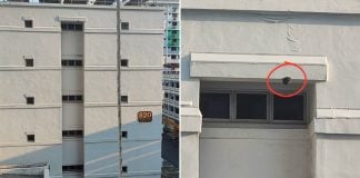 bee hive Jurong