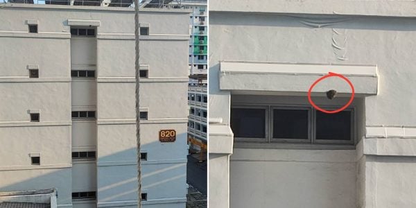 bee hive Jurong