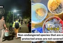 changi beach marine foraging laws (1)
