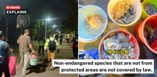 changi beach marine foraging laws (1)