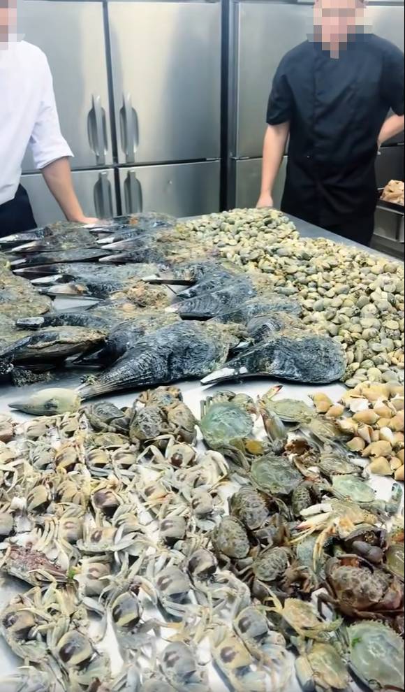 changi beach marine foraging laws (3)