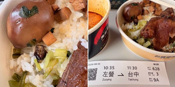 cockroach bento